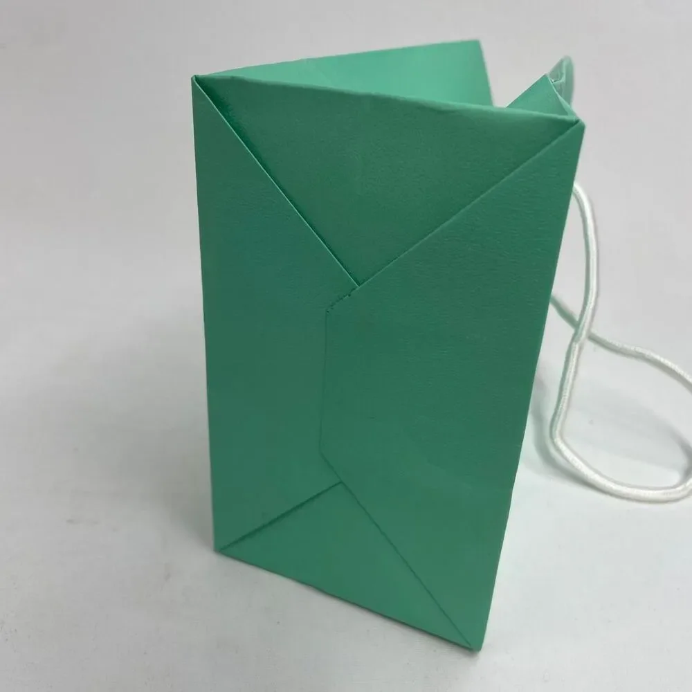 Tiffany & Co Small Gift Bag Display Classic Decor Wrapping Classic Iconic